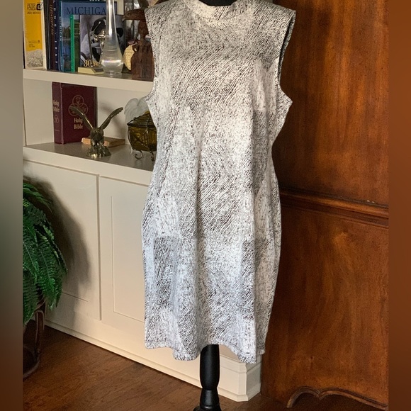 Sharagano - 4W4F164D9 Sleeveless Zigzag Lace Dress